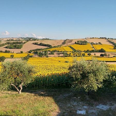 Agriturismo Vallelunga Анкона Экстерьер фото