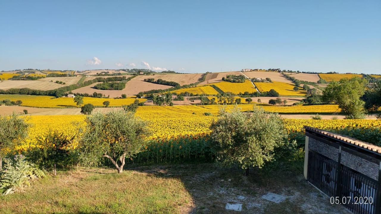 Agriturismo Vallelunga Анкона Экстерьер фото
